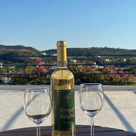 Oneiro-lifestyle Paulus Σπίτι διακοπών Katsounion